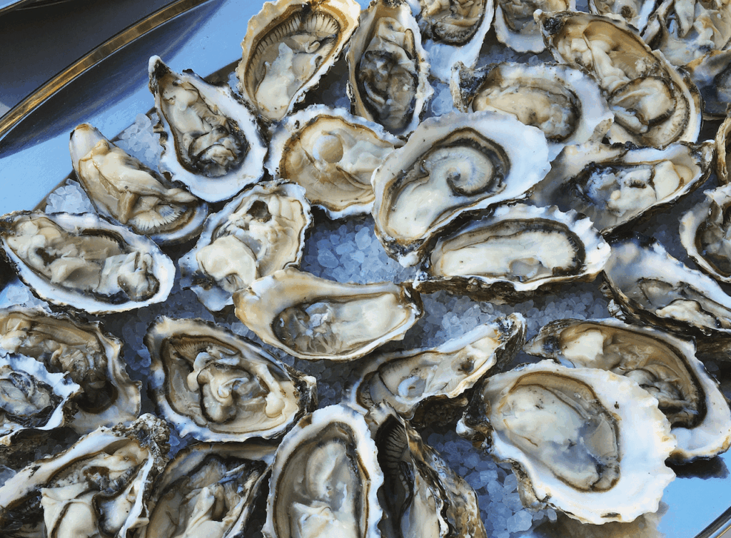 oysters on iced tray at Orcas Island Wedding